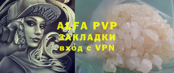 ГАЛЛЮЦИНОГЕННЫЕ ГРИБЫ Богданович