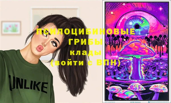 прущие крисы Беломорск