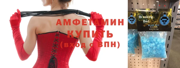 ГАЛЛЮЦИНОГЕННЫЕ ГРИБЫ Богданович