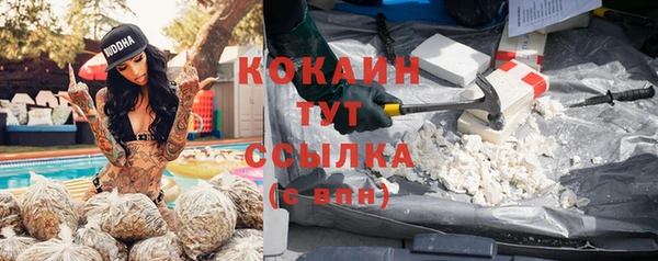 ГАЛЛЮЦИНОГЕННЫЕ ГРИБЫ Богданович