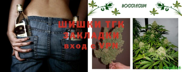 ГАЛЛЮЦИНОГЕННЫЕ ГРИБЫ Богданович