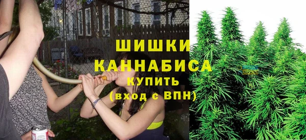 каннабис Белокуриха