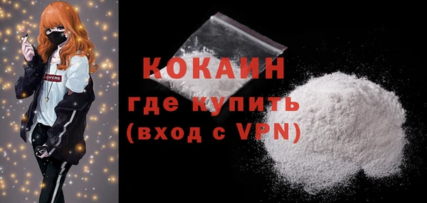 ГАЛЛЮЦИНОГЕННЫЕ ГРИБЫ Богданович